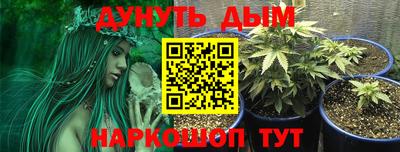 твердый Гусев