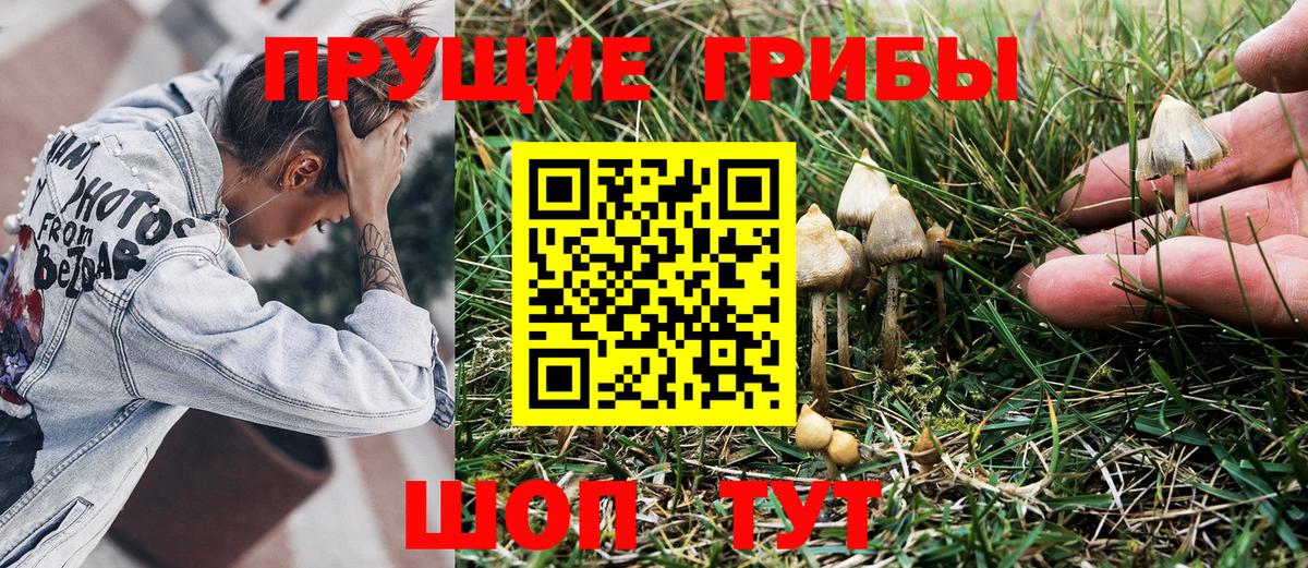 Мирный  Галлюциногенные грибы GOLDEN TEACHER  Псилоцибиновые грибы Magic Shrooms  Вход с VPN 