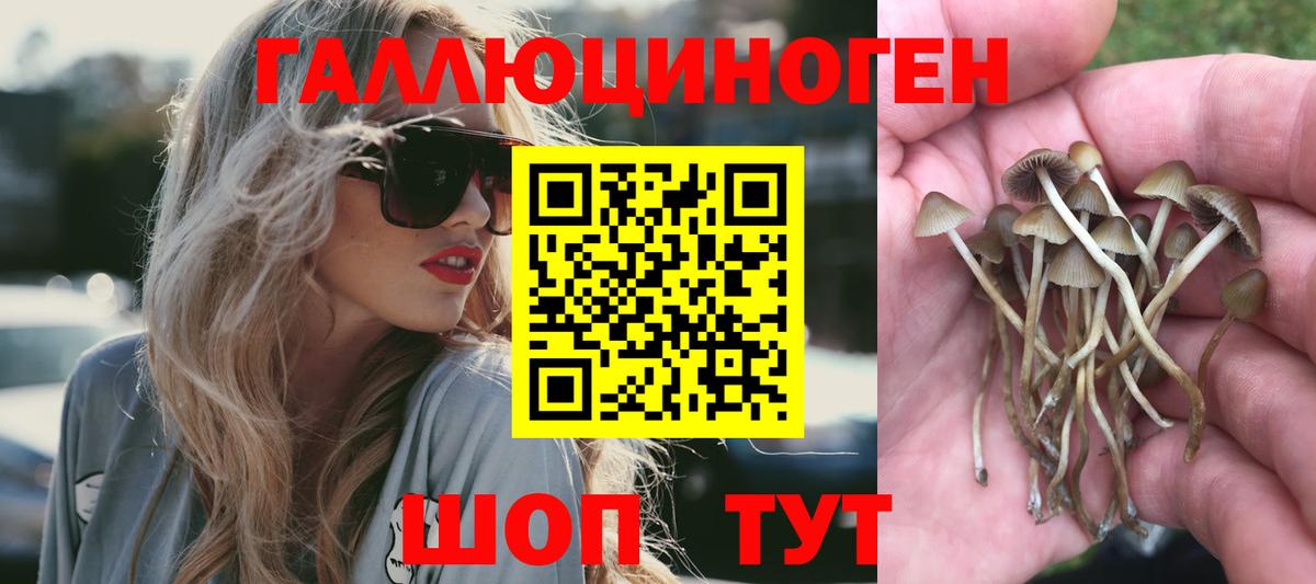 Псилоцибиновые грибы GOLDEN TEACHER Мирный